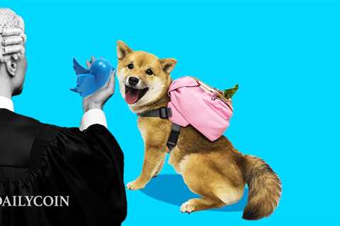 Shiba Inu (SHIB) and Dogecoin (DOGE) Move Opposite Ways Amid Twitter Lawsuit - Shiba Inu Market News