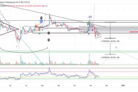 SHIB might be setting up for a 40% decline - Shiba Inu Market News