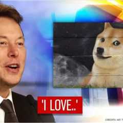 Dogecoin Social Numbers Jump As Elon Musk’s Twitter Unbans Suspended Accounts