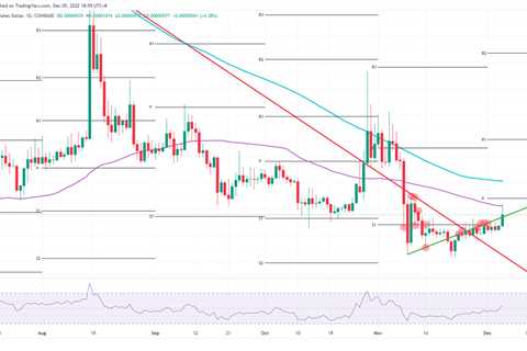 Shiba Inu price sees whales buying every offer in sight, expect a 30% breakout - Shiba Inu Market..