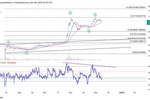 SHIB price to overthrow DOGE and rally 40% - Shiba Inu Market News