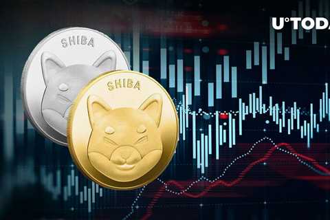 SHIB Trading Volume Jumps 128% as Price Nears Buying Support - Shiba Inu Market News