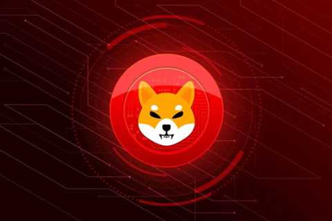 Shiba Inu Developer Confirms Shibarium Beta Launch, SHIB And BONE To Rally? - Shiba Inu Market News