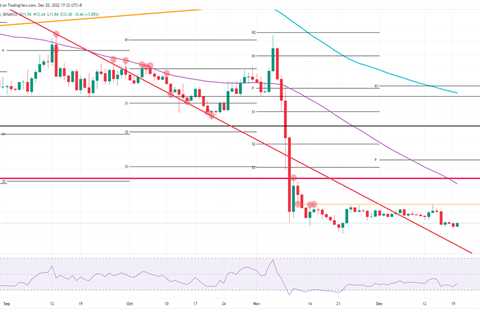 Solana, Shiba Inu and Bitcoin – European Wrap 20 December - Shiba Inu Market News