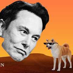 The End of the Elon Musk x Dogecoin (DOGE) Saga? - Shiba Inu Market News