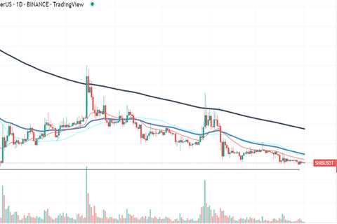 Shiba Inu (SHIB) Might Rally in 2023, Here Are 3 Scenarios - Shiba Inu Market News