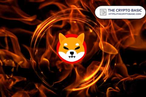 Shiba Inu’s Burn Rate Increases Over 13,100% As The Year Ends - Shiba Inu Market News