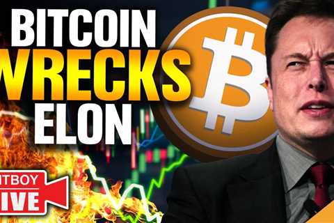 Bitcoin WRECKS Elon (Crypto Bull Trap WARNING!)