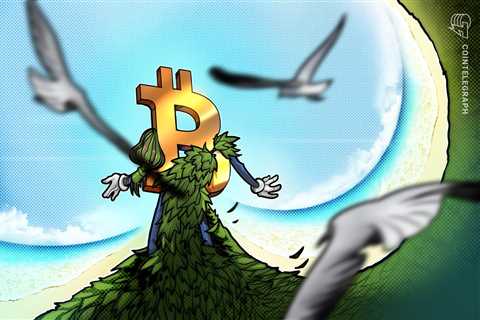 Greenpeace war on Bitcoin unintentionally spawns 'badass' new mascot