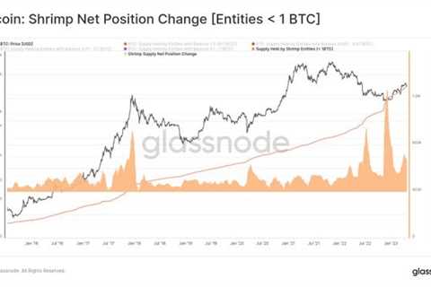 Shrimps have been the most aggressive accumulators this year and now hold 7% of bitcoin supply