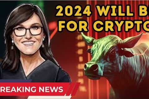 2024 will be great for crypto - crypto news update
