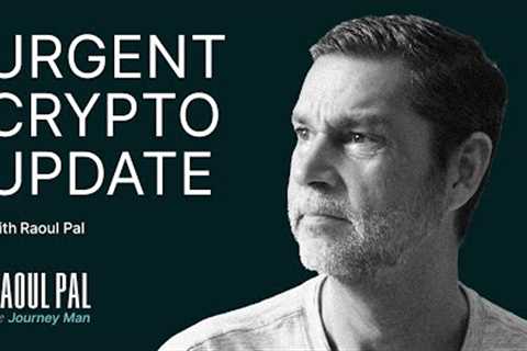 Don''t Panic! Raoul Pal''s Urgent Crypto Market Update