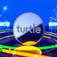 Turtle (TURTLE) to Binance HODLer Airdrops