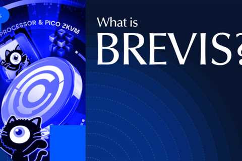 What Is Brevis Network? ZK Engine Powering Data-Driven Apps