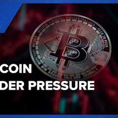 Bitcoin faces selling pressure as investors rotate out of risk-on assets: CNBC Crypto World