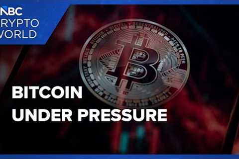 Bitcoin faces selling pressure as investors rotate out of risk-on assets: CNBC Crypto World
